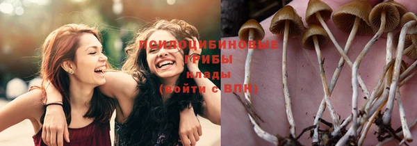 скорость Алексеевка