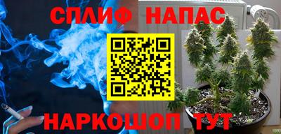 прущие крисы Ирбит