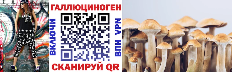 магазин  наркотиков  Люберцы  omg ССЫЛКА  Псилоцибиновые грибы мицелий 